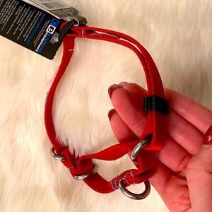 Canine Equipment Red Nylon Dog Collar (NWT)